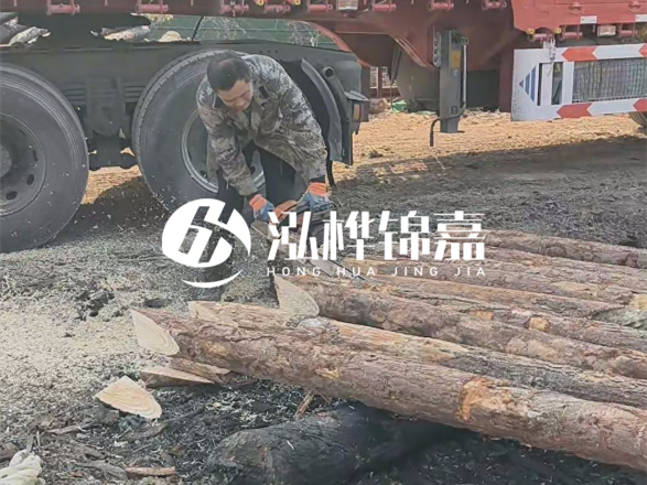 松木圓木價(jià)格大概多少一方-松木樁廠家按方可以賣嗎？