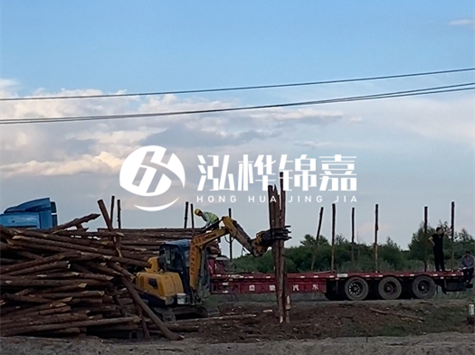 河北打樁木源頭廠家泓樺錦嘉 - 北方常用打樁木是什么？