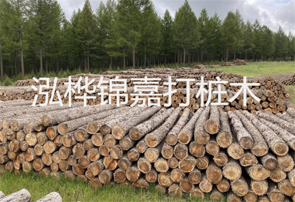 松木樁能施工嗎？探究視頻揭秘真相！