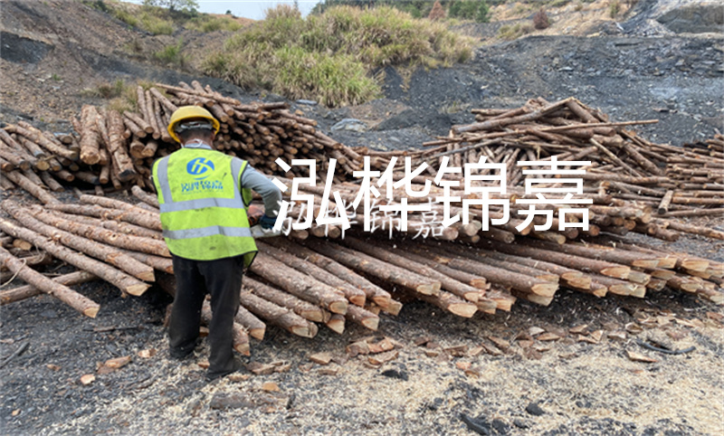 哪里松木樁最便宜？