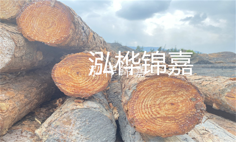 如何在東莞找到最實(shí)惠的松木樁？